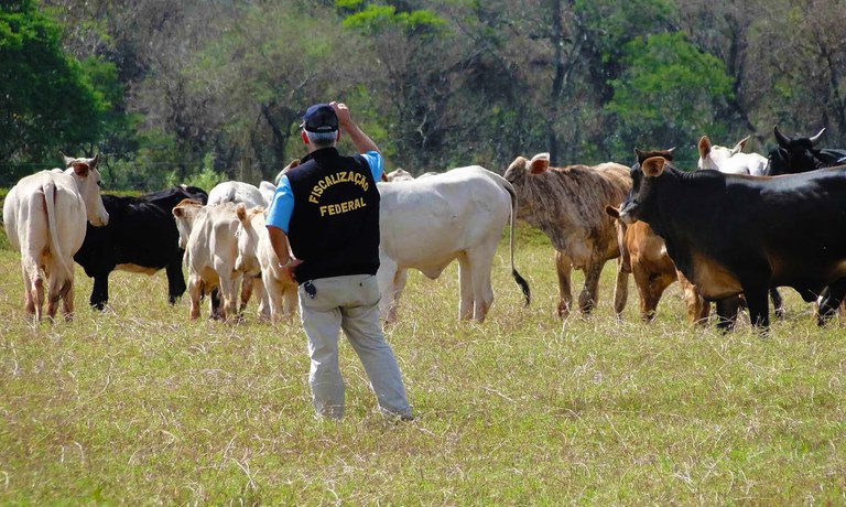 Fiscais federais agropecuários vão votar indicativo de greve no dia 7 de maio