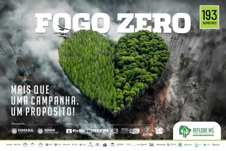 Fogo Zero: unidos pela proteção do campo