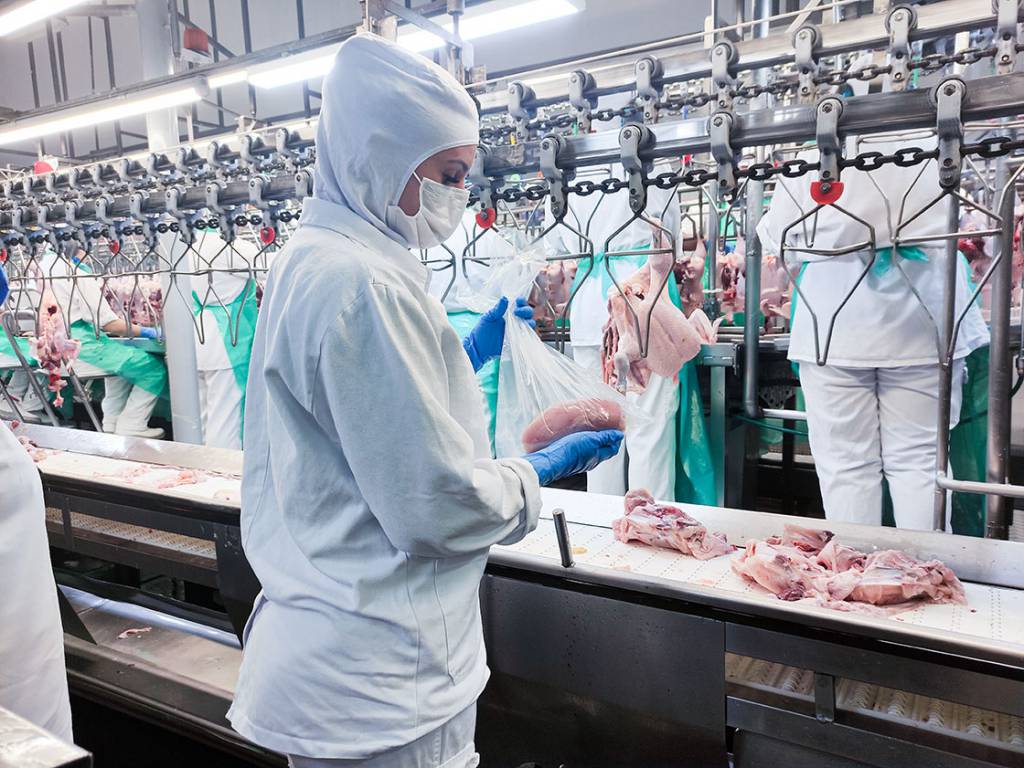 Exportações de carne de frango confirmam projeções positivas e fecham ano com alta de 0,6%