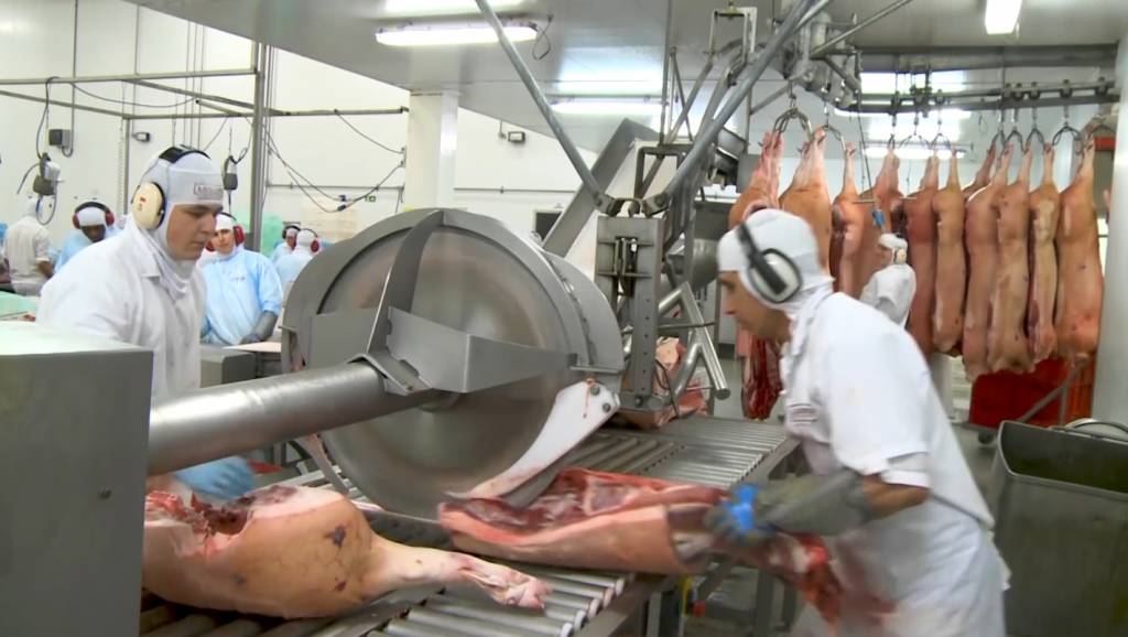 Exportações de carne suína crescem 11,7% em janeiro