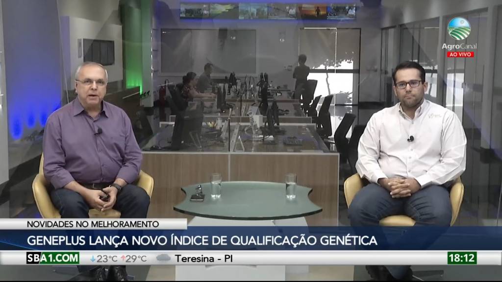 Geneplus lança novo índice de qualificação genética para a raça nelore