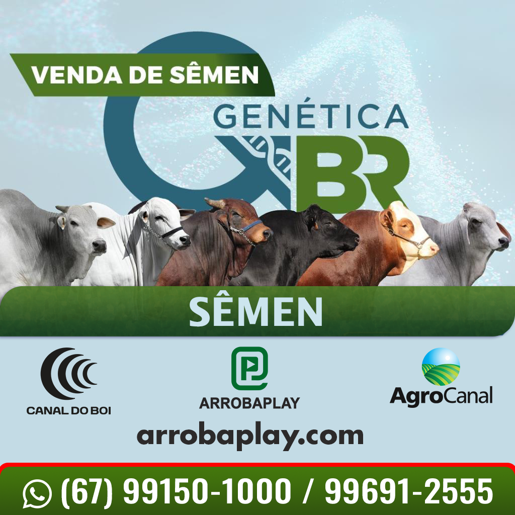 Genética BR oferta sêmen a preços especiais hoje a noite no Canal do Boi