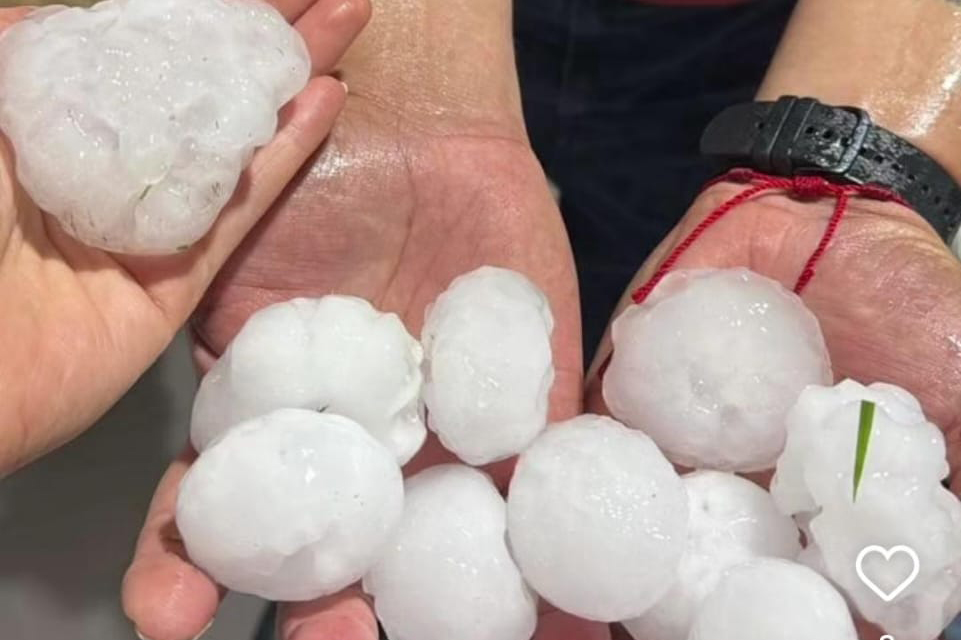 Granizo atinge lavouras de soja e milho no PR e cooperativas levantam prejuízos