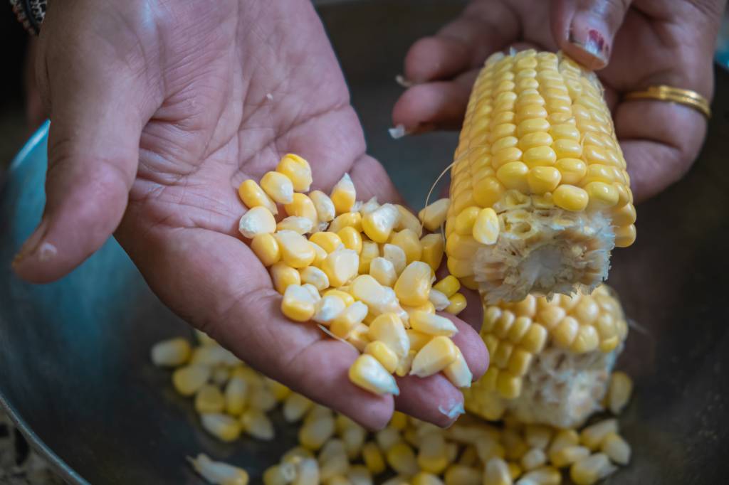 Plantio de milho na Argentina alcança 33,8% da área projetada, diz Bolsa de Cereais de Buenos Aires