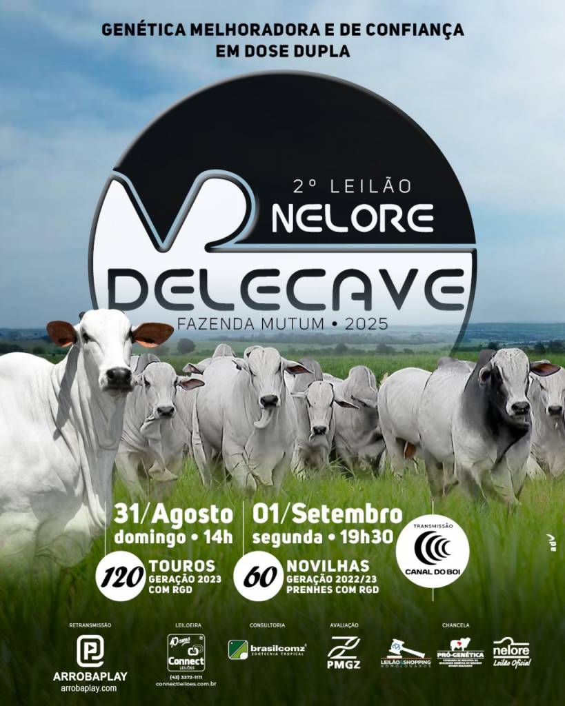 2º Leilão Virtual Touros Nelore Delecave hoje às 14h no Canal do Boi