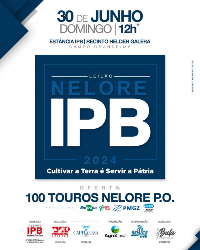 Leilão Touros IPB 2024 hoje às 12h no Agro Canal
