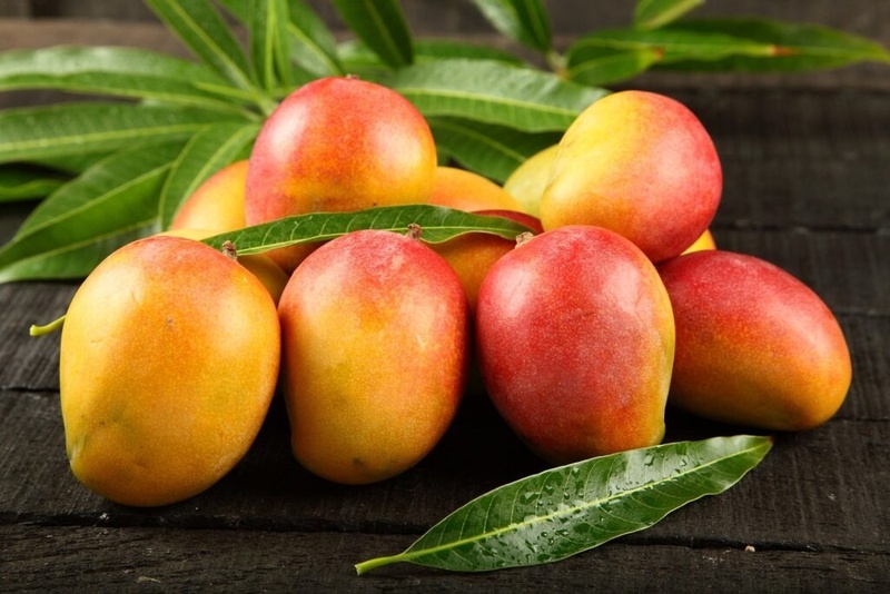 Fim do tarifaço traz alívio para o setor hortifruti após queda em volume e nos preços de exportações aos EUA