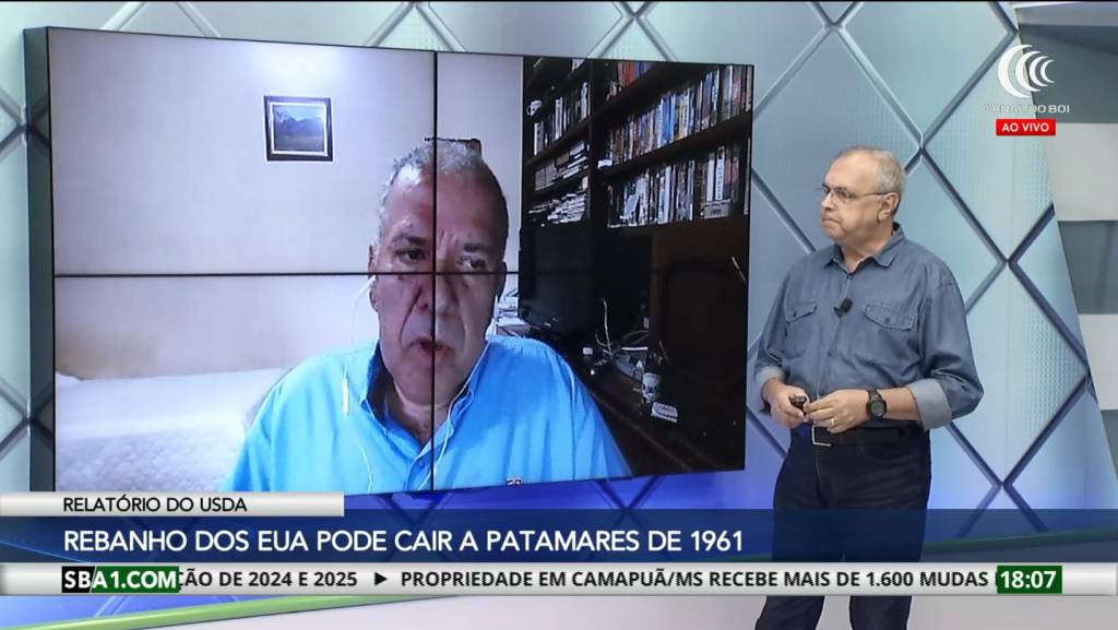 Rebanho bovino dos EUA pode cair a patamares de 1961