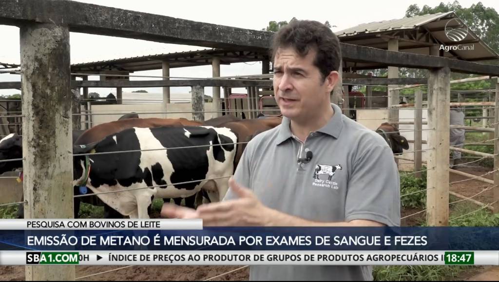 Emissão de metano é mensurada por exames de sangue e fezes em bovinos de leite