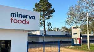 Minerva registra lucro líquido de R$ 120 mi no 3º trimestre de 25, alta de 27,6% ante ao mesmo período em 2024