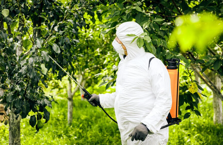 Comissão debate o uso de defensivos agrícolas neonicotinóides