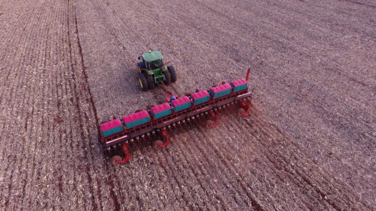 Conab: plantio de soja 2025/26 chega a 98% da área no Brasil