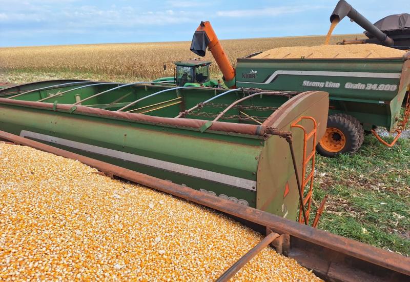 Hedgepoint: ampla oferta deve pressionar milho e trigo em 2026