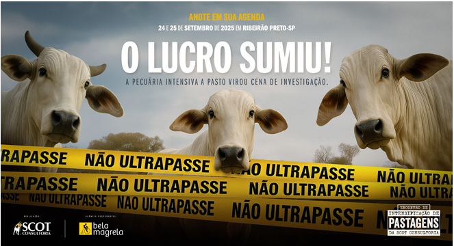 Encontro de Intensificação de Pastagens 2025: o lucro sumiu. Começam as investigações