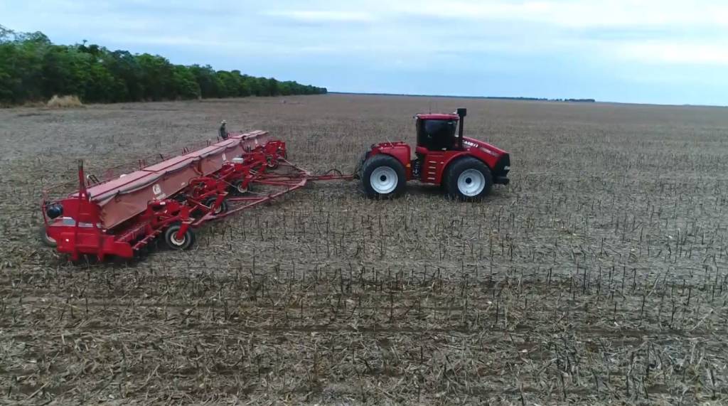 Chuvas volumosas nos próximos dias e umidade do solo propiciam alta produtividade para a soja