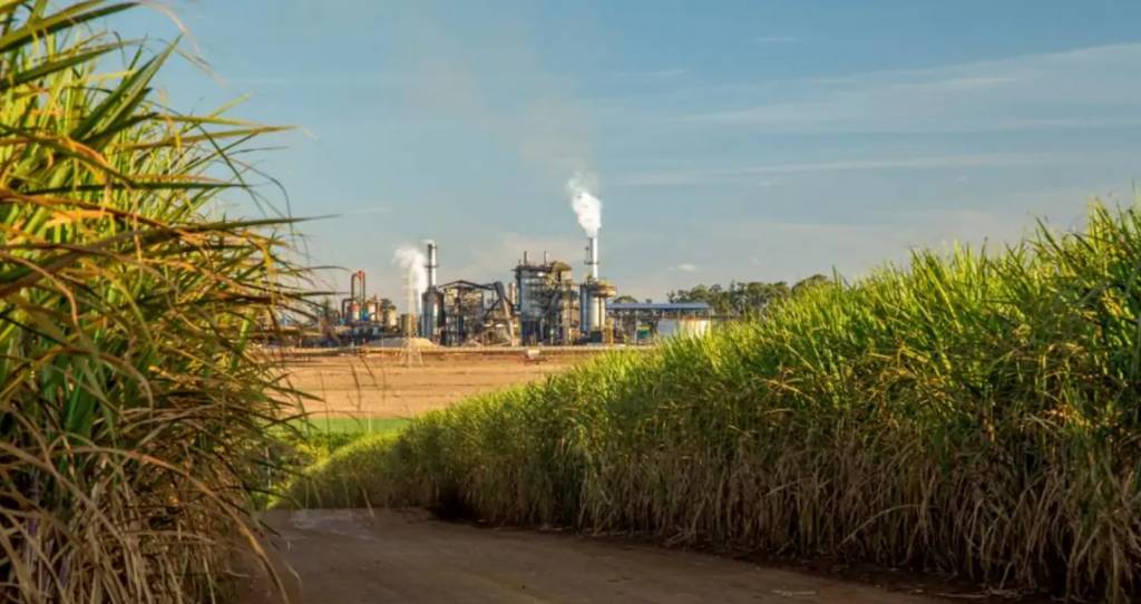 Cepea avança na integração de dados com o setor sucroenergético