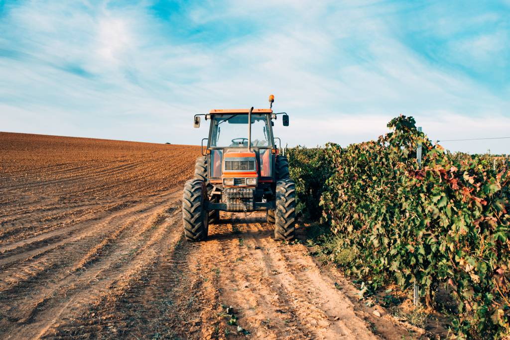 Governo publica MP que libera R$ 12 bi para renegociação de dívidas de produtores
