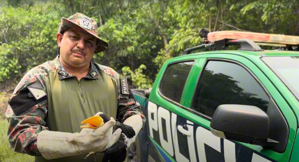  Tucano jovem é resgatado em área de incêndio de Miranda/MS