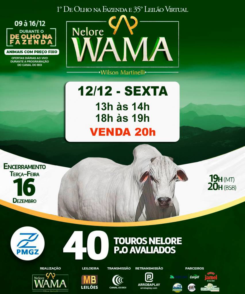 De Olho na Fazenda Nelore Wama oferta touros nelore a preço fixo no Canal do Boi