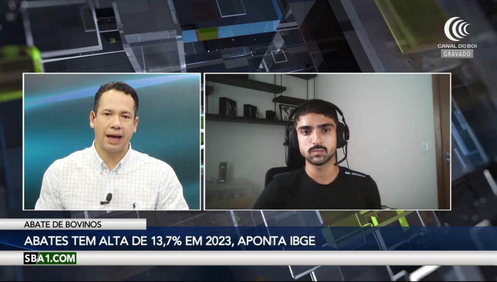 Maior abate de fêmeas pode reduzir oferta de bezerros em 2025