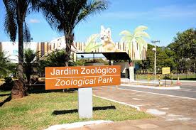 Gripe aviária: governo do DF confirma caso no Zoológico de Brasília