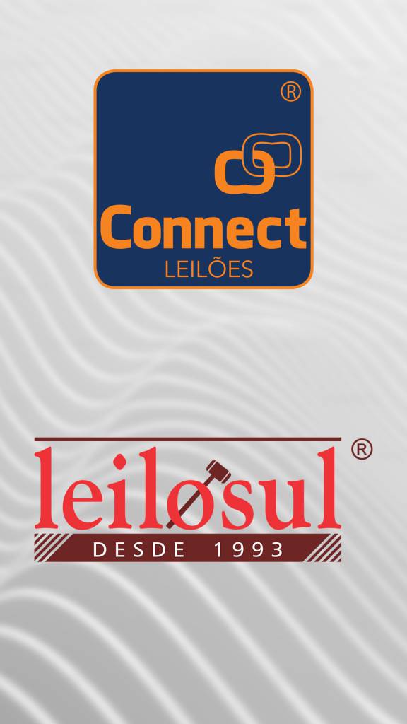Connect Leilões & Leilosul