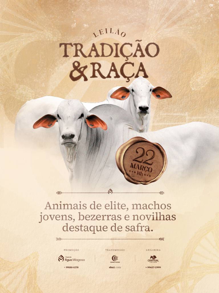 Leilão Tradição & Raça Fazenda Água Milagrosa neste domingo às 14h no Canal do Boi