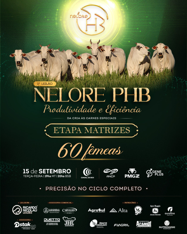 1º Leilão Nelore PHB oferta fêmeas nelore hoje às 20h no Canal do Boi