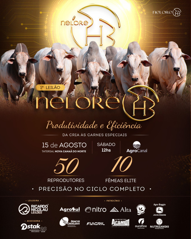 1º Leilão Nelore PHB oferta reprodutores neste sábado às 14h no Agrocanal