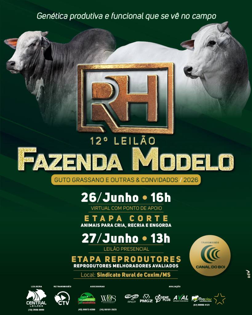 12º Leilão Fazenda Modelo encerra programação com etapa de reprodutores neste sábado