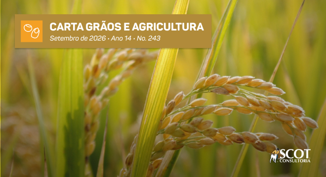 Carta Grãos e Agricultura - Arroz - preços melhoram no segundo semestre, mas ainda não pagam o custo de produção