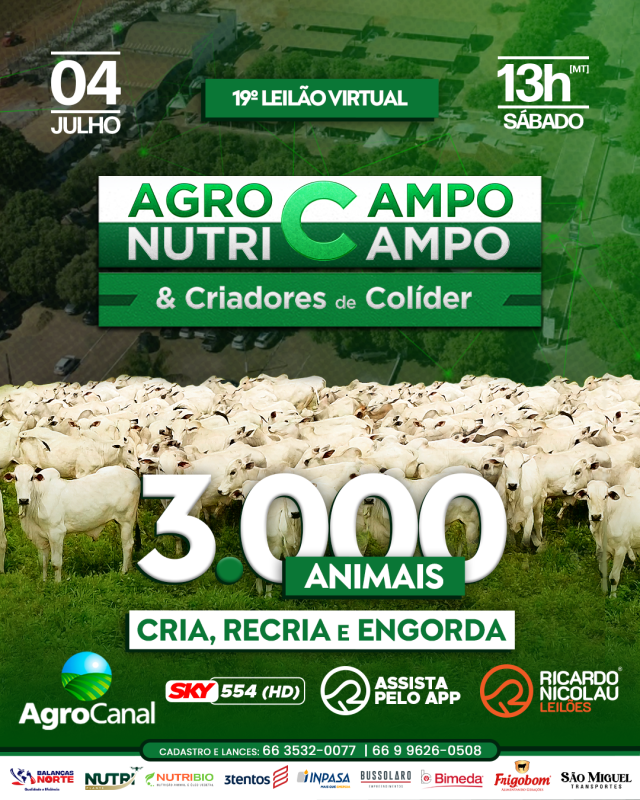 19º Leilão Agrocampo Nutricampo & Criadores de Colíder será realizado neste sábado pelo AgroCanal