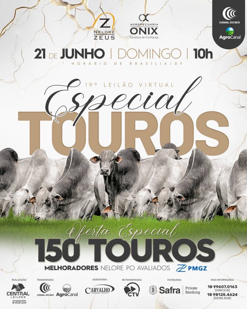 19º Leilão Virtual Especial Touros acontece neste domingo às 10h no Canal do Boi e AgroCanal