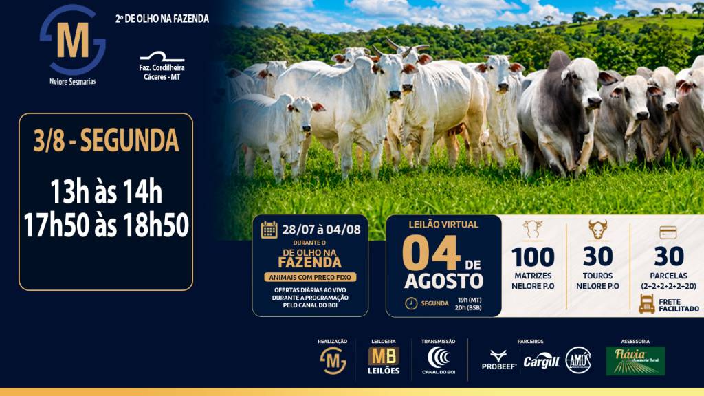 Segunda-feira começa com ofertas do 2º De Olho na Fazenda Nelore Sesmarias no Canal do Boi