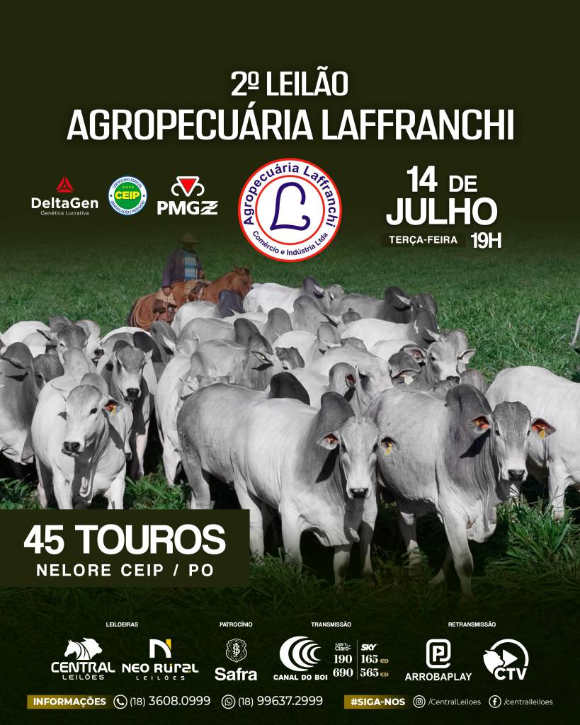 Agropecuária Laffranchi leva ao mercado seleção de touros Nelore CEIP e PO