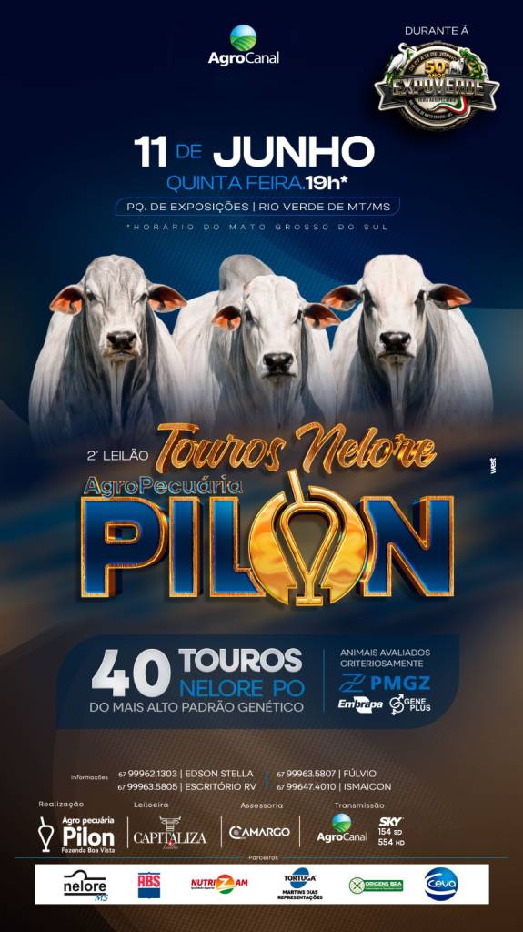 2º Leilão de Touros Nelore da Agropecuária Pilon hoje às 20h no AgroCanal