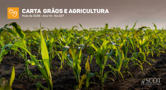  Carta Grãos e Agricultura - Segunda safra de milho, como será?