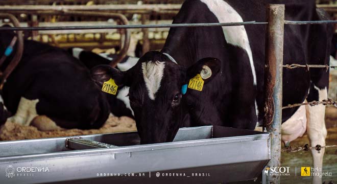 Ordenha Brasil visita uma das maiores produtoras de leite do país