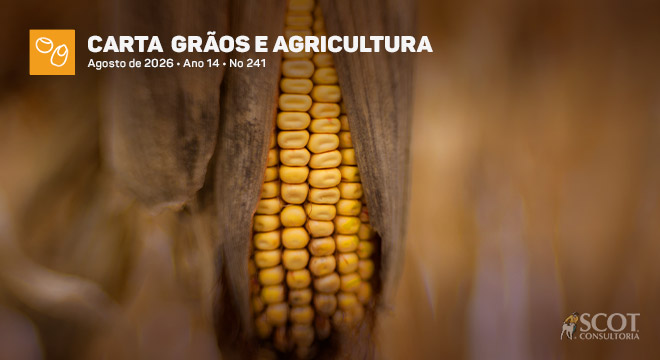 Carta Grãos e Agricultura - Milho mantém trajetória de alta