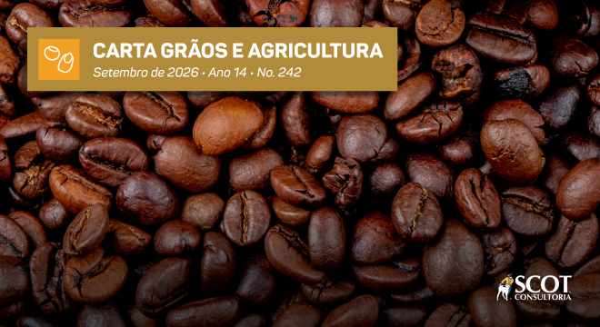 Carta Grãos e Agricultura - Café com preços pressionados no final da safra