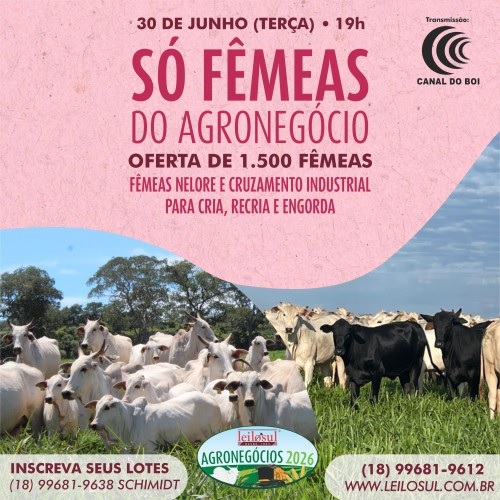 Leilão Só Fêmeas do Agronegócio nesta terça-feira às 19h no Canal do Boi