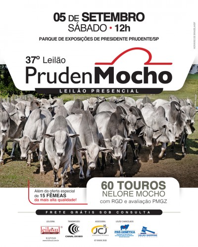 37º PrudenMocho oferta animais selecionados neste sábado no Canal do Boi