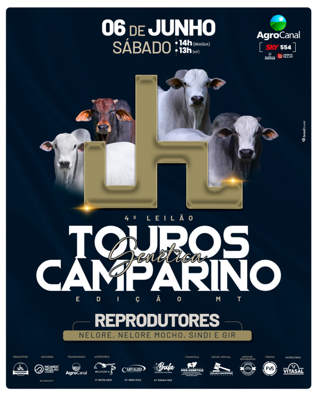 4º Leilão Virtual Touros Genética Camparino hoje às 14h no AgroCanal