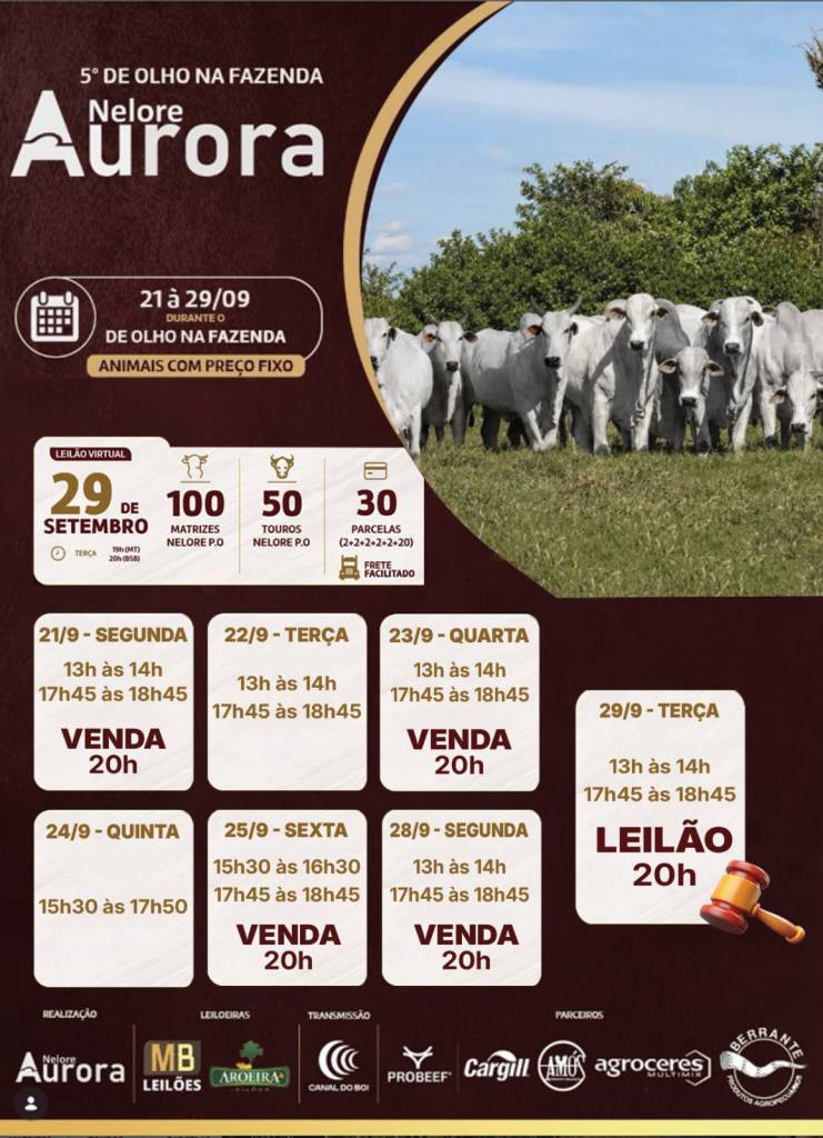 5º De Olho na Fazenda Nelore Aurora vende a preço fixo 100 matrizes e 50 touros nelore PO no Canal do Boi