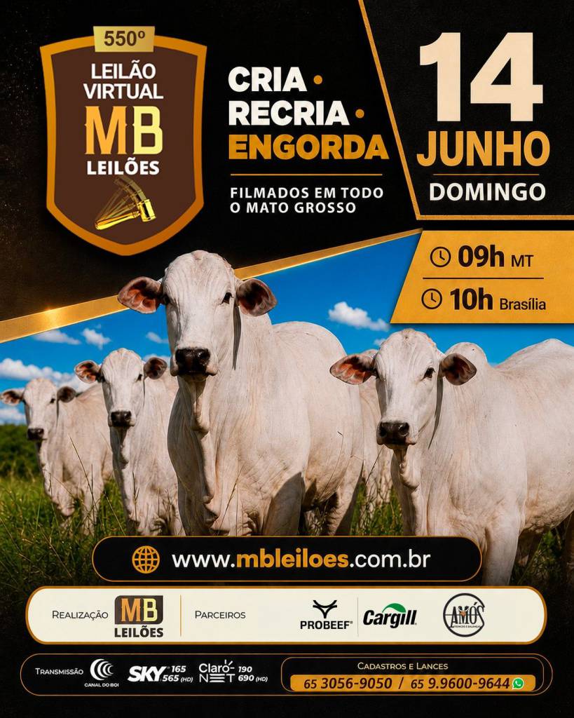 MB Leilões oferta animais para cria, recria e engorda neste domingo no Canal do Boi e AgroCanal