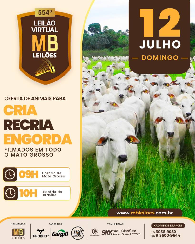 554º Leilão Virtual MB Leilões oferece animais para todas as fases da pecuária