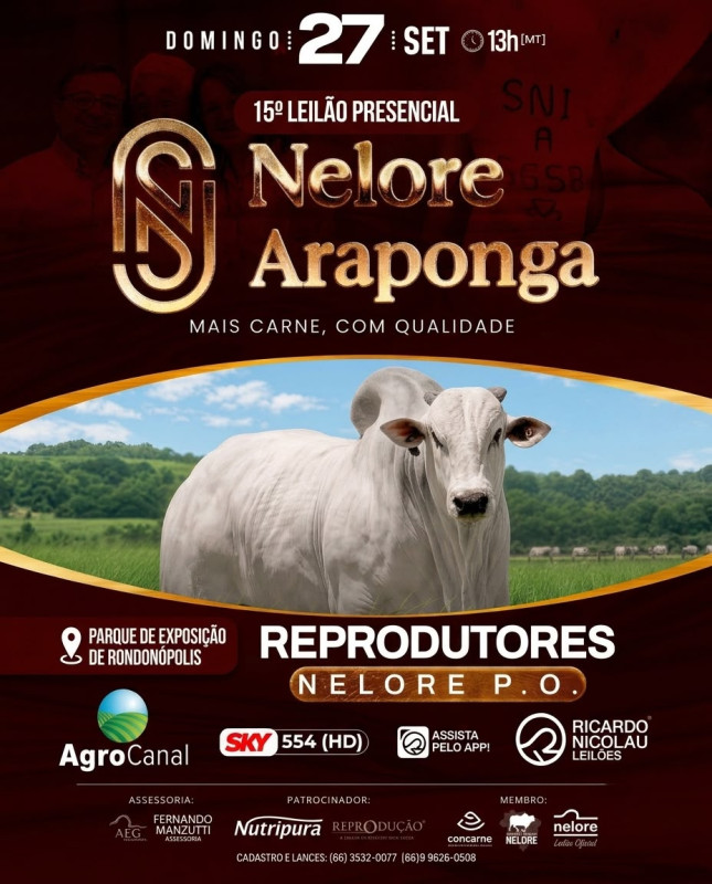 15º Leilão Presencial Nelore Araponga hoje às 14h no AgroCanal
