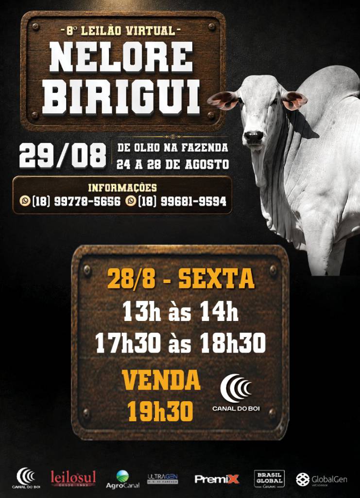 8º De Olho na Fazenda Nelore Birigui vende reprodutores selecionados a preço fixo no Canal do Boi e AgroCanal