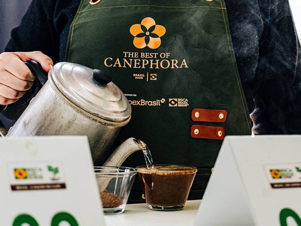 Brasil caminha para reconhecer mundialmente os primeiros cafés especiais da espécie canéfora