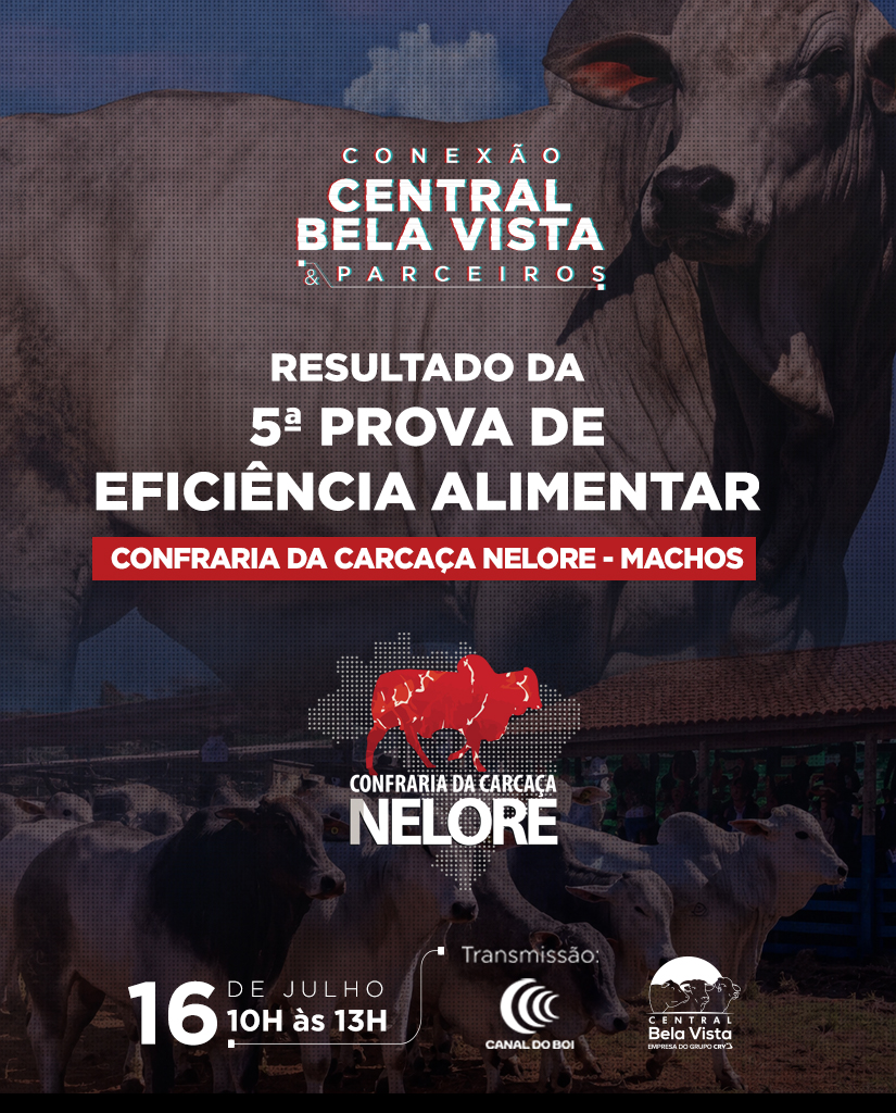 Canal do Boi transmite os resultados da 5ª Prova de Eficiência Alimentar da Confraria da Carcaça Nelore